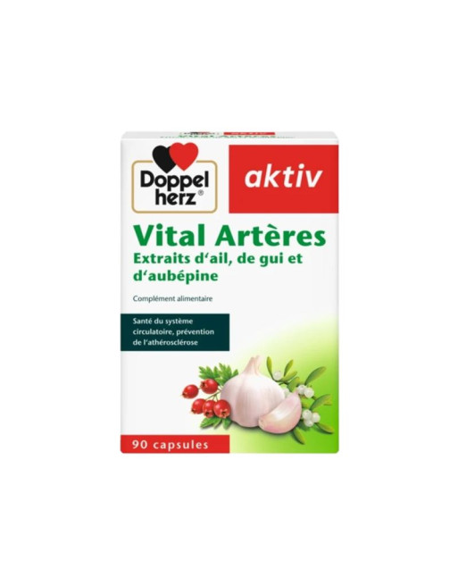 AKTIV Vital Artères 90 Gélules