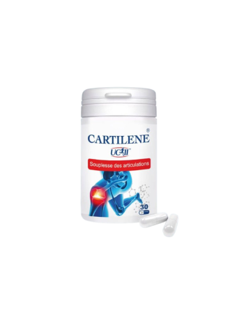https://topara.tn/accueil/1435-biohealth-cartilene-30-gelules-6192447500312.html