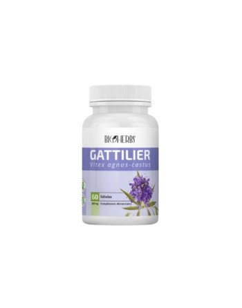 https://topara.tn/accueil/299-bioherbs-gattilier-60-gelules-6191423301332.html
