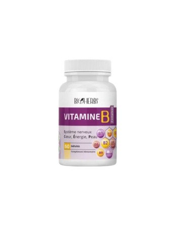 https://topara.tn/accueil/1603-bioherbs-vitamine-b-complexe-60-gelules-6191423301820.html